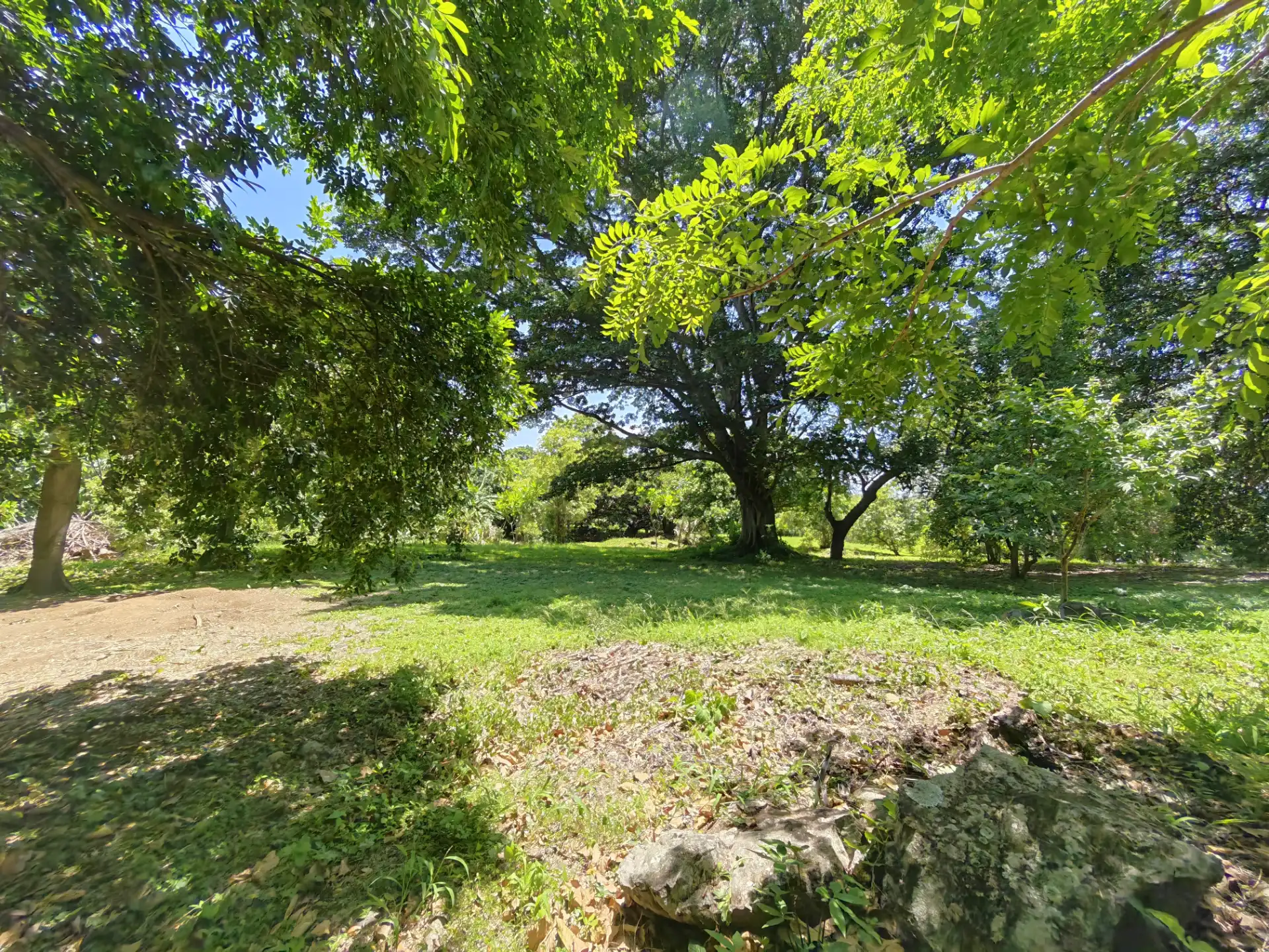 Lote en venta, Santa Ana.