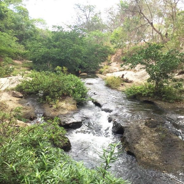 Venta de finca en Liberia, El Salto, frente autopista.